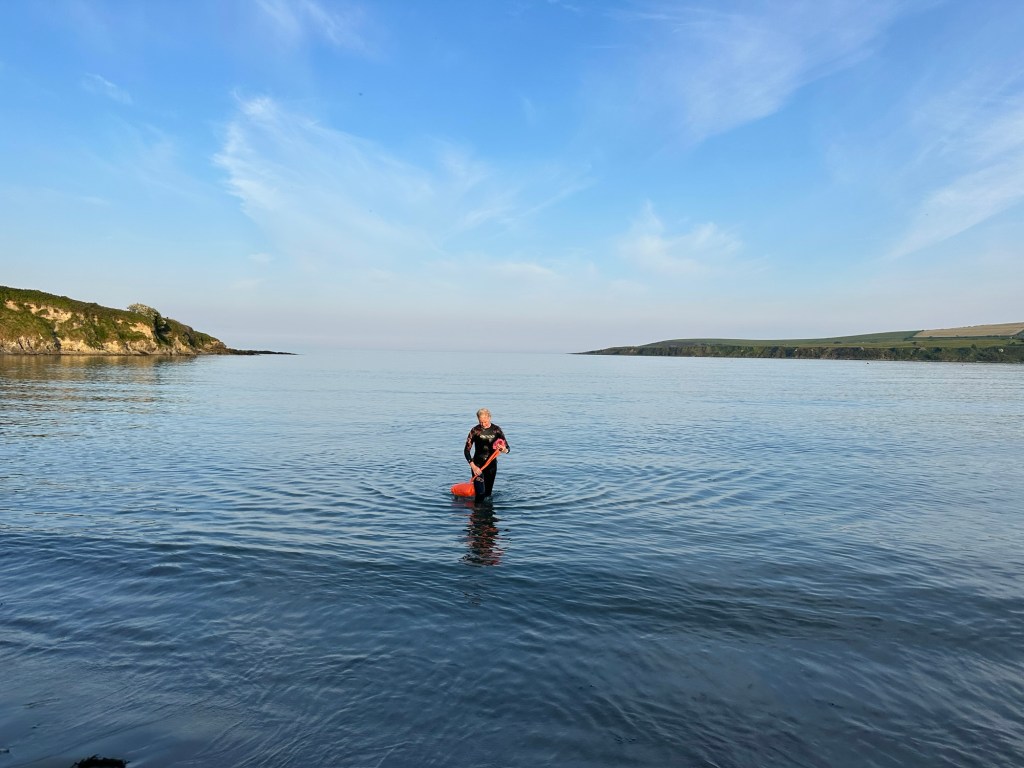 Self Compassion Vs Self Pity